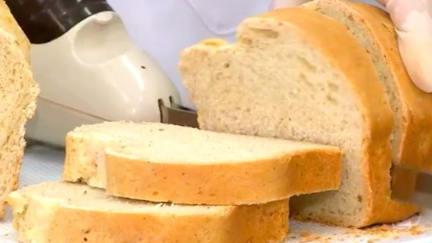 Hacen pan de cucarachas; tiene más proteínas que la carne roja