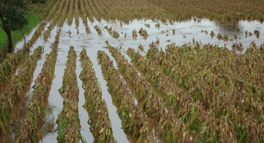 Demandan senadores certeza jurídica en la tenencia de la tierra