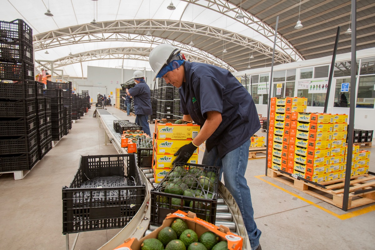 Crecen exportaciones mexicanas de alimentos a Europa: SAGARPA