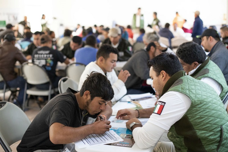 Migrantes que se quedaron en CDMX iniciarán trámites para trabajar legalmente