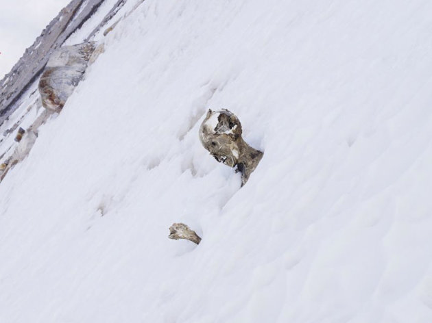 59 años después recuperan cuerpos de alpinistas enterrados en el Pico de Orizaba