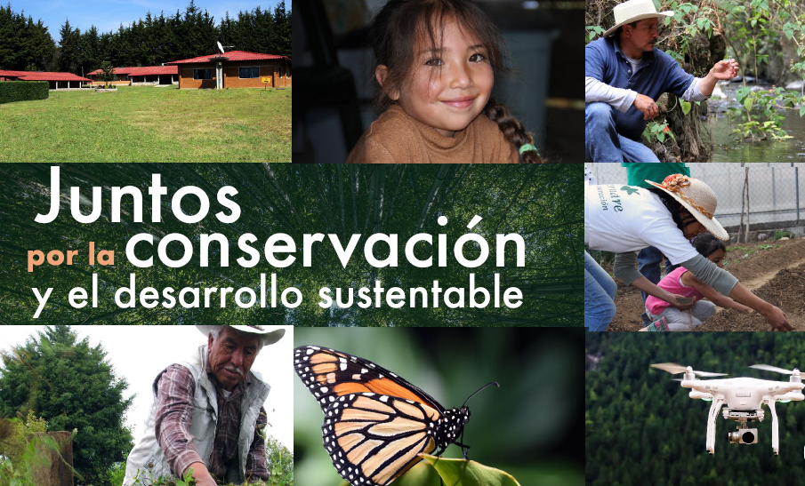 La organización mexicana, Alternare A.C., recibe el reconocimiento internacional “Campeones de la Conservación” 2018