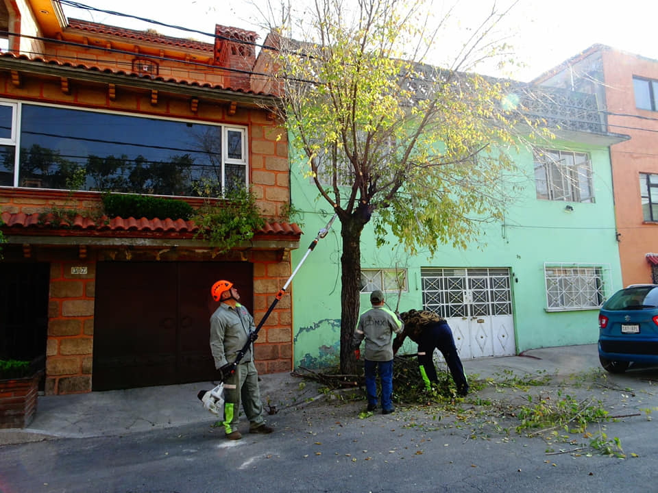 Trabaja Azcapotzalco en mantenimiento y rehabilitación urbana