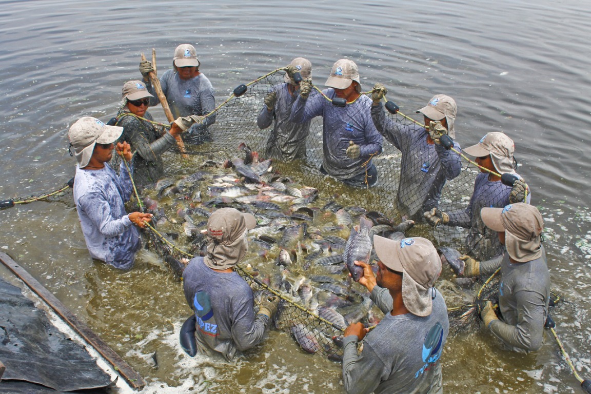 Promoverá CONAPESCA el desarrollo integral de la pesca y la acuacultura en el Sur-Sureste del país