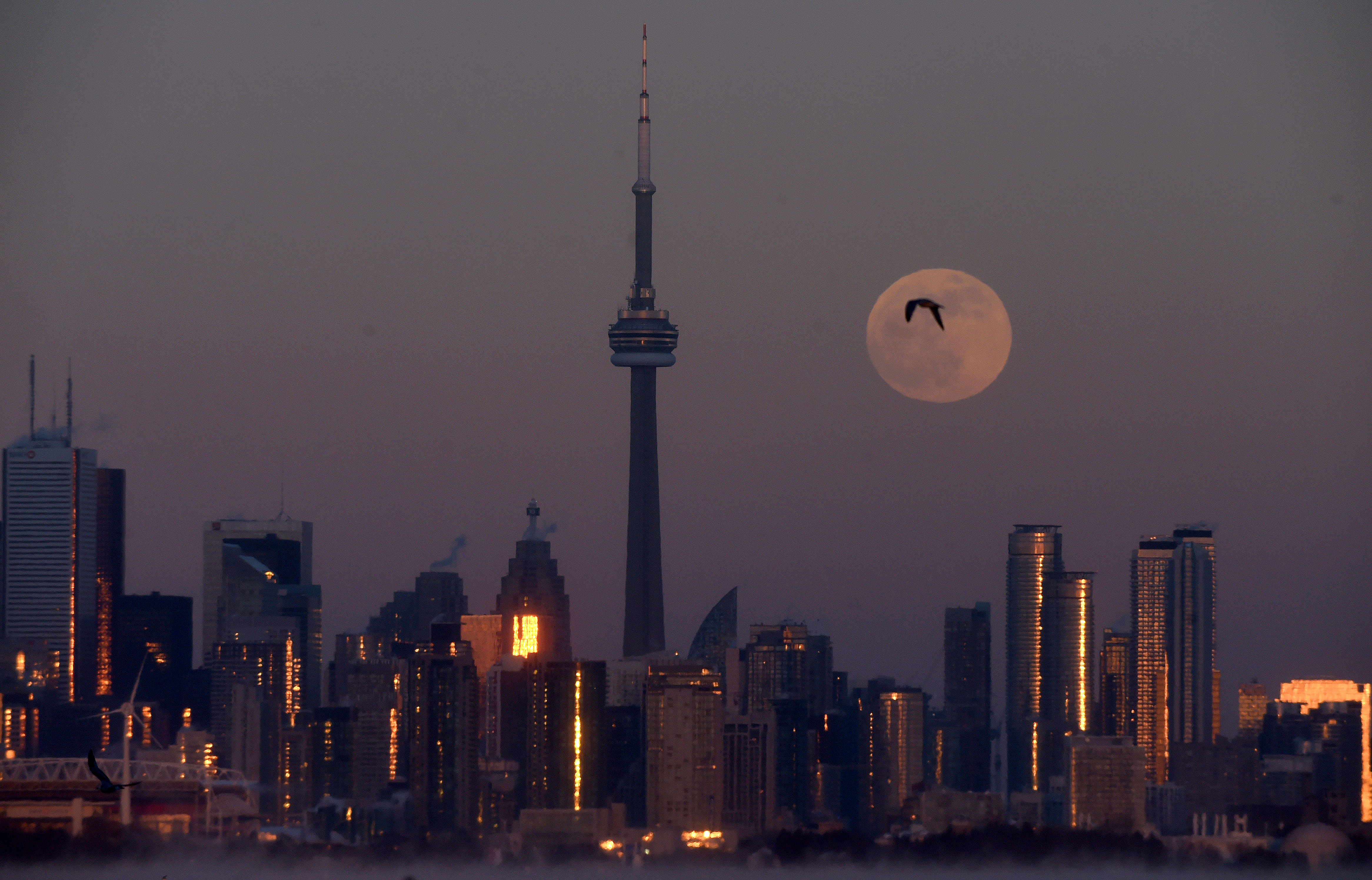 Imágenes del eclipse de luna ¡por si te lo perdiste!