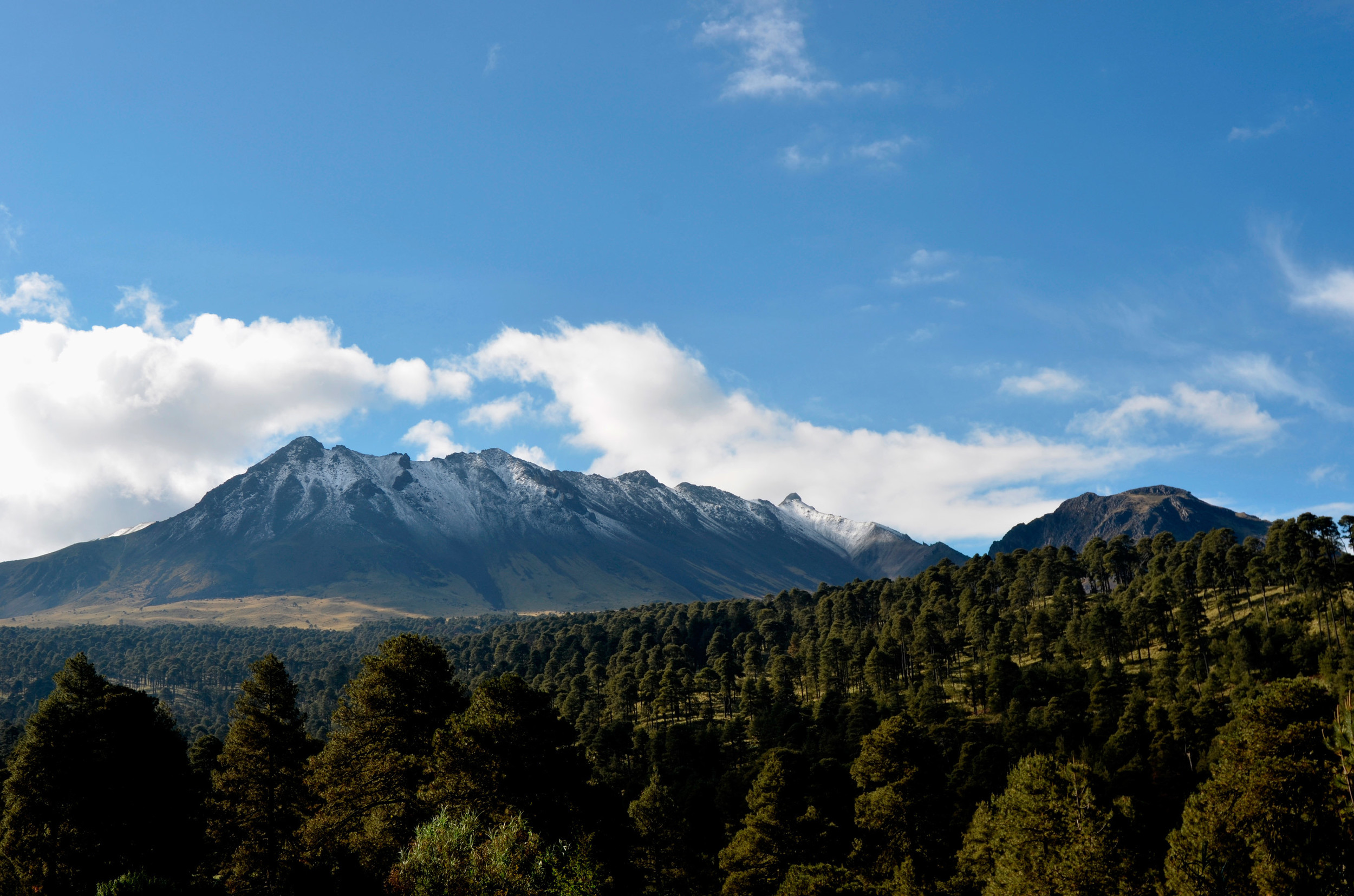 Aprueba Semarnat tala comercial del 33% de bosque del Nevado de Toluca