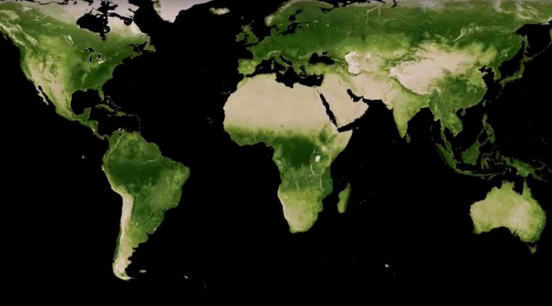 La Tierra es más verde que hace 20 años: NASA