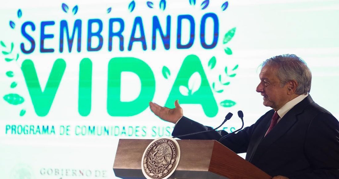 AMLO presenta ‘Sembrando Vida’, el programa con el que busca salvar al campo