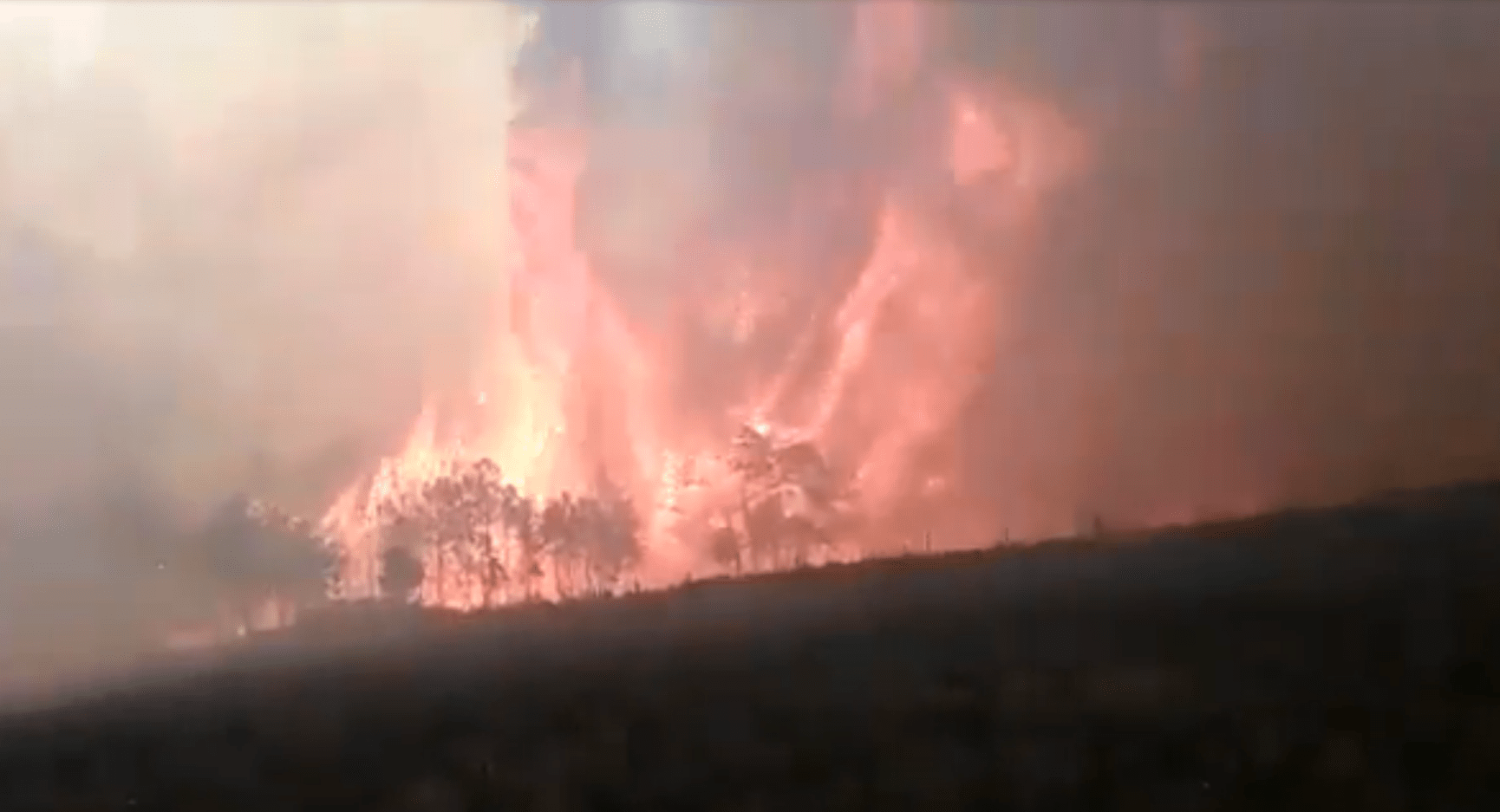 Incendio forestal se propaga en Veracruz