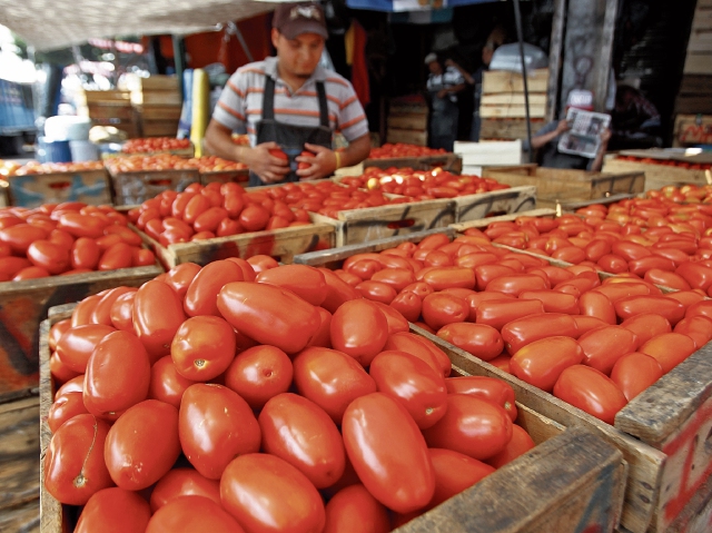 ¿Cómo afectará a los productores mexicanos el aumento en los aranceles del jitomate?