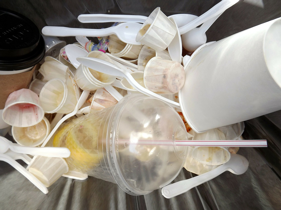Estos son los 10 Estados de la República que prohiben el plástico