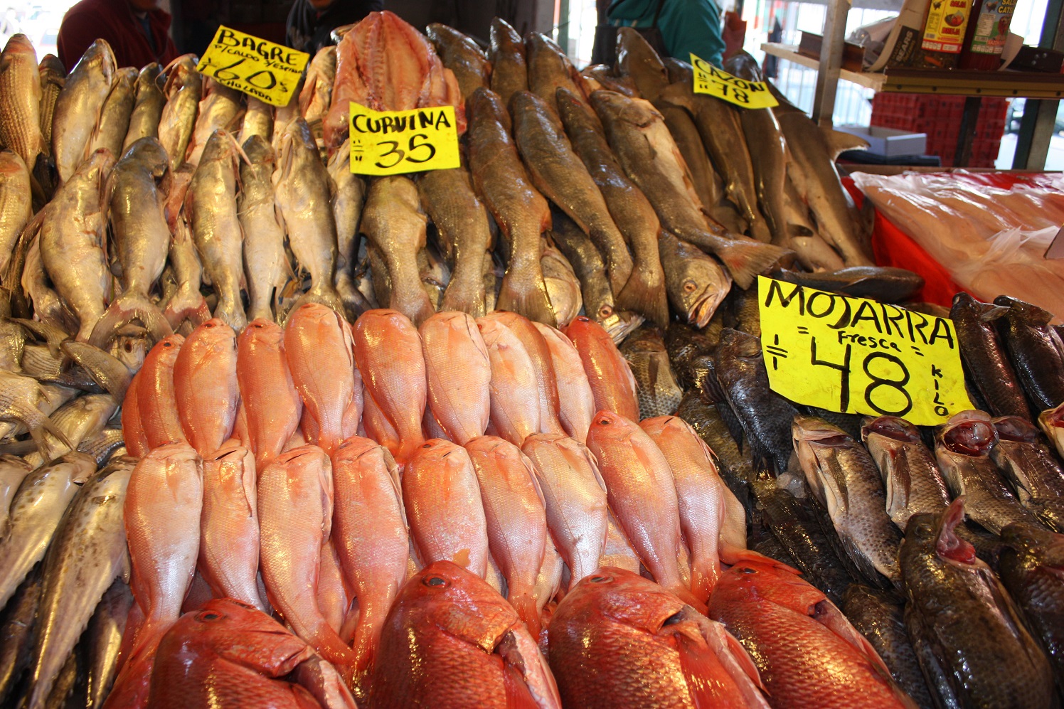 Amplia oferta de pescados y mariscos de producción nacional disponibles, a precios accesibles y frescos, en los mercados del país