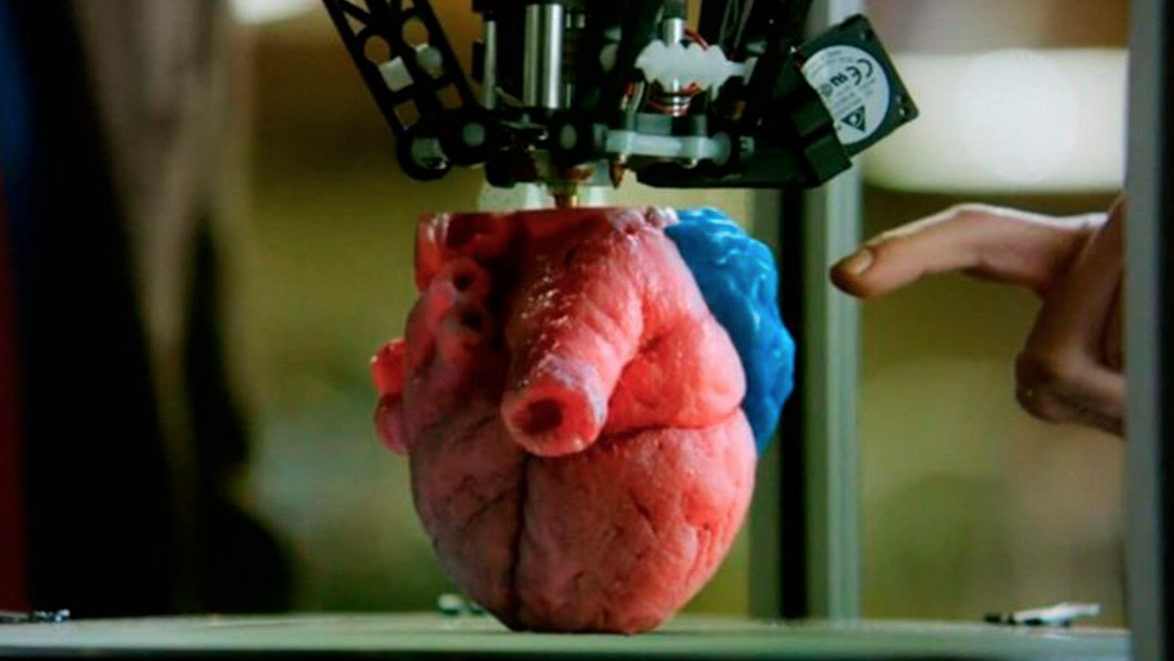 Crearon el primer corazón vivo hecho con una impresora 3D y tejido humano