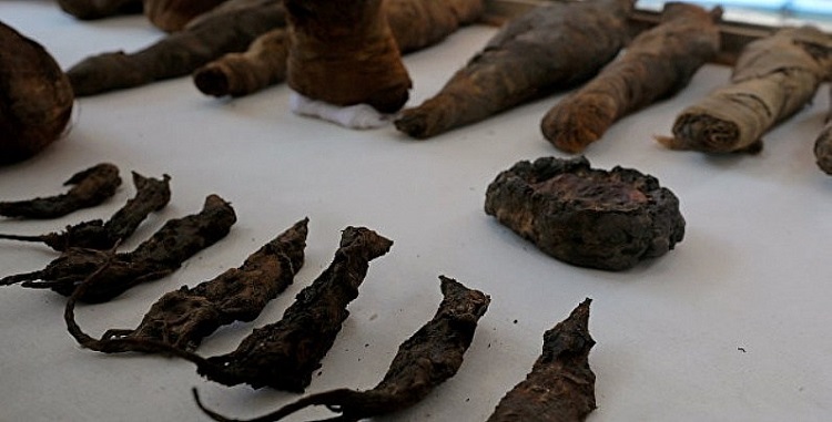 Encuentran ratones momificados en antigua tumba egipcia