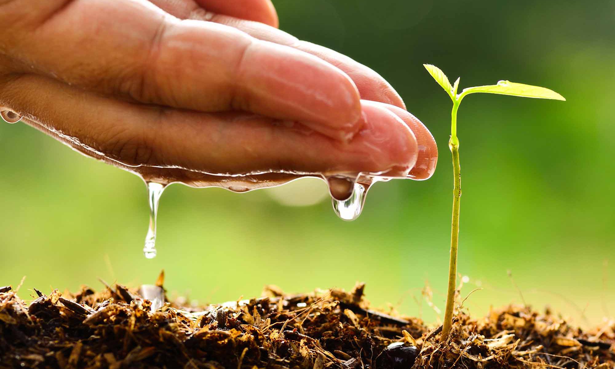 En el ‘Día de la Tierra’ empecemos pequeñas acciones para revertir el daño al planeta