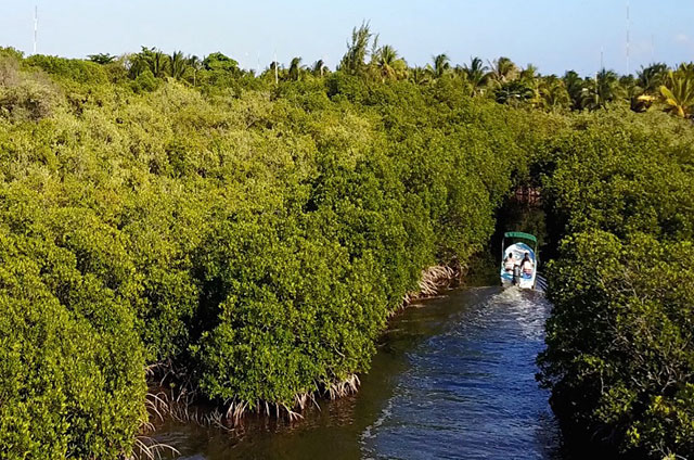 Piden en la Permanente investigar presunta extracción de material de la Reserva de la Biósfera de la Barranca de Metztitlán