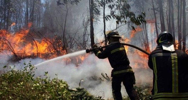 Apoyo y equipo para combatientes y fortalecer acciones contra incendios forestales, pide Geovanna Bañuelos