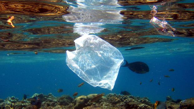 Hallan bolsa de plástico en Fosa de las Marianas, el lugar más profundo del planeta
