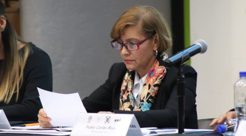 La paridad de género es importante para el crecimiento de nuestro país: senadora Piña