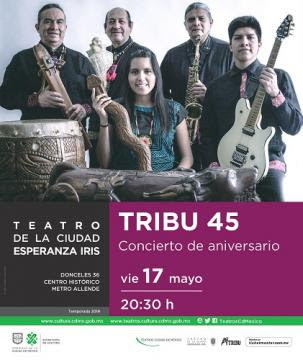 Tribu, 45 años de música prehispánica