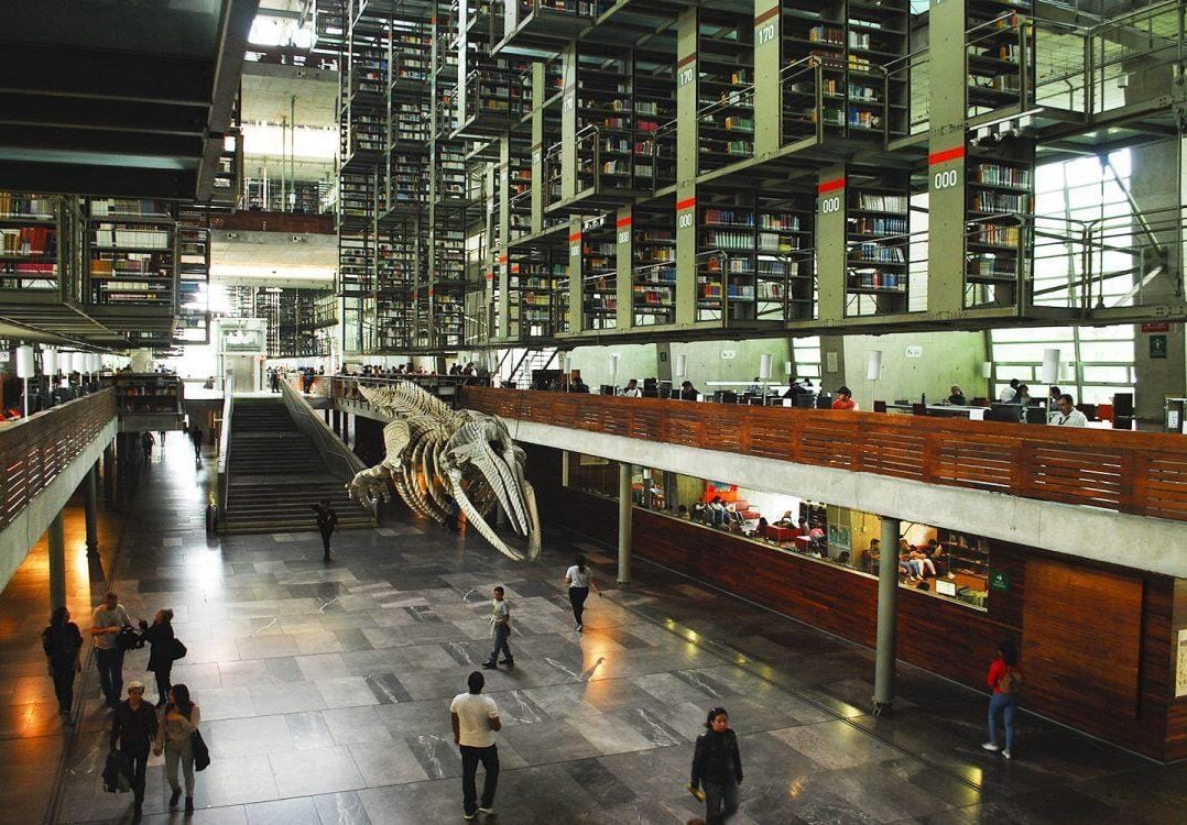 Por motivos de salud, Nuncio Limón deja la Biblioteca Vasconcelos