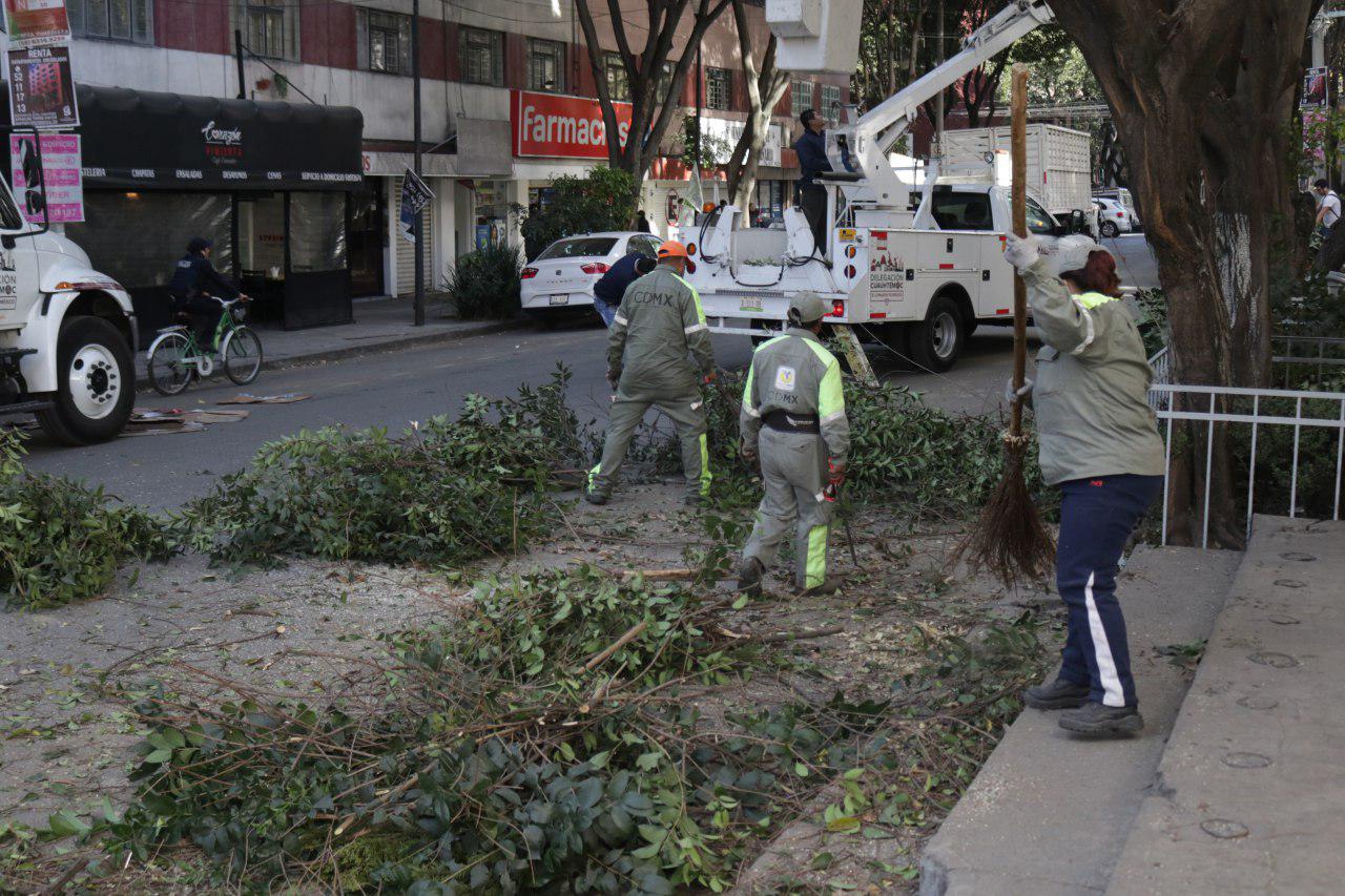 Aplican jornada de arbolado en siete colonias de la alcaldía Cuauhtémoc