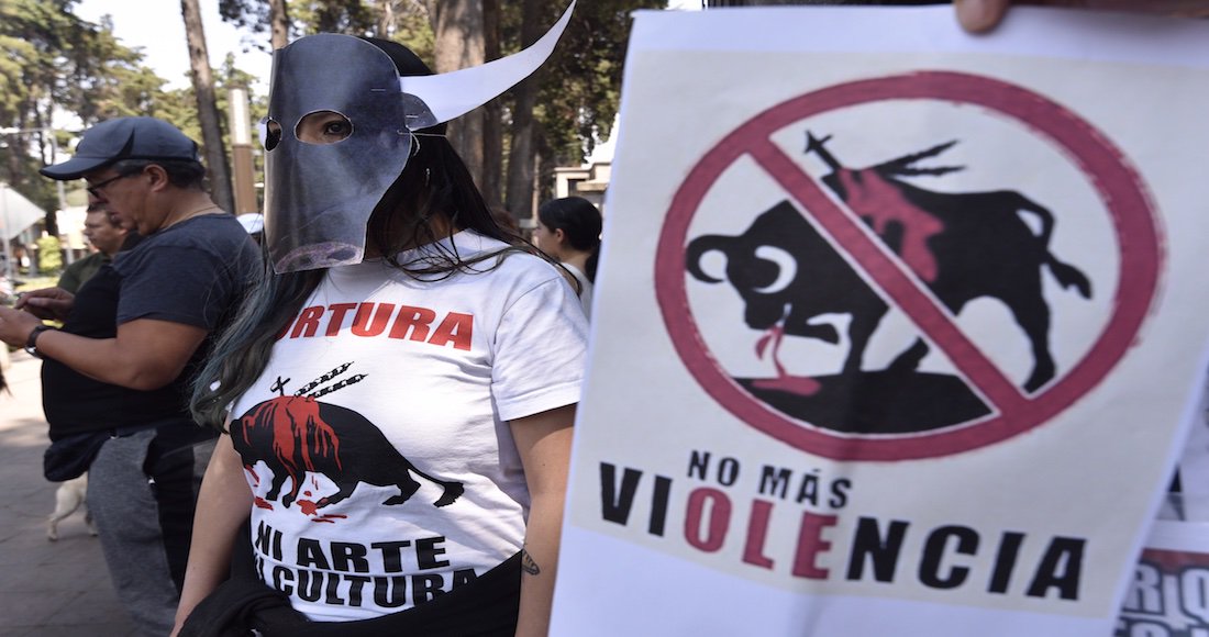 Quintana Roo prohíbe corridas de toros y peleas de gallos