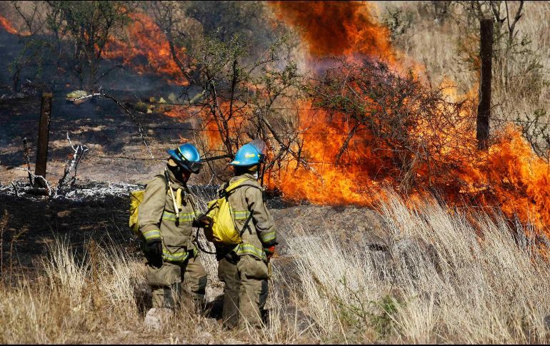 Hasta 15 años de prisión a quien provoque un incendio forestal