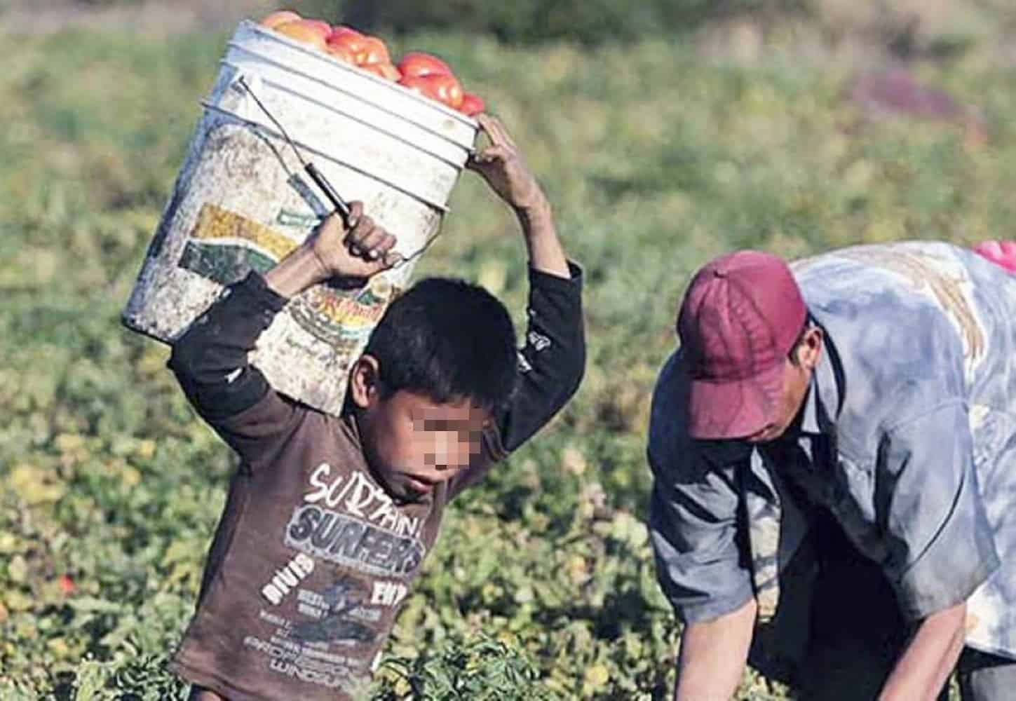 En México tres millones de niños trabajan sin pago o en riesgo