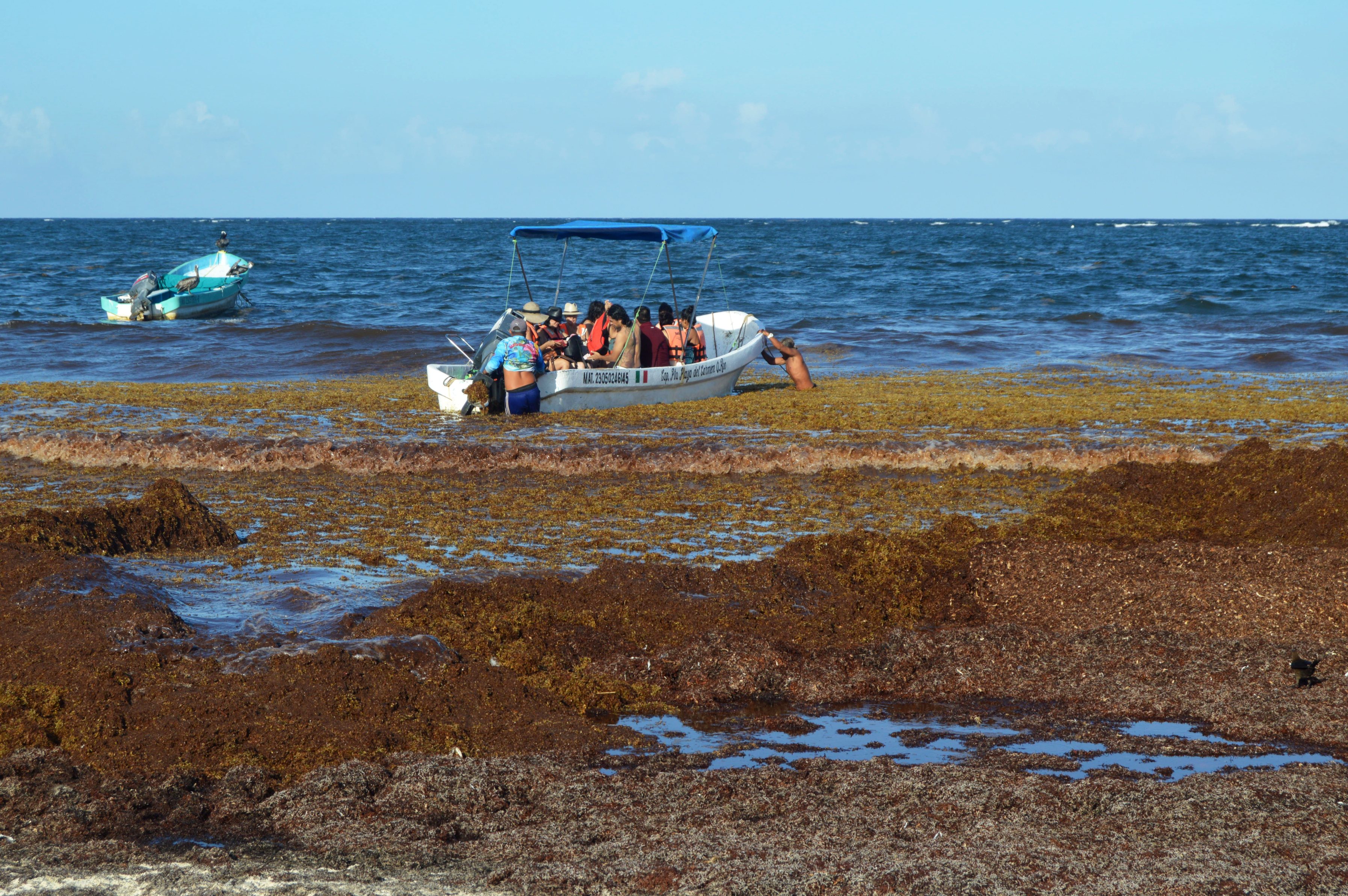 Actividades de los turistas en Tulum