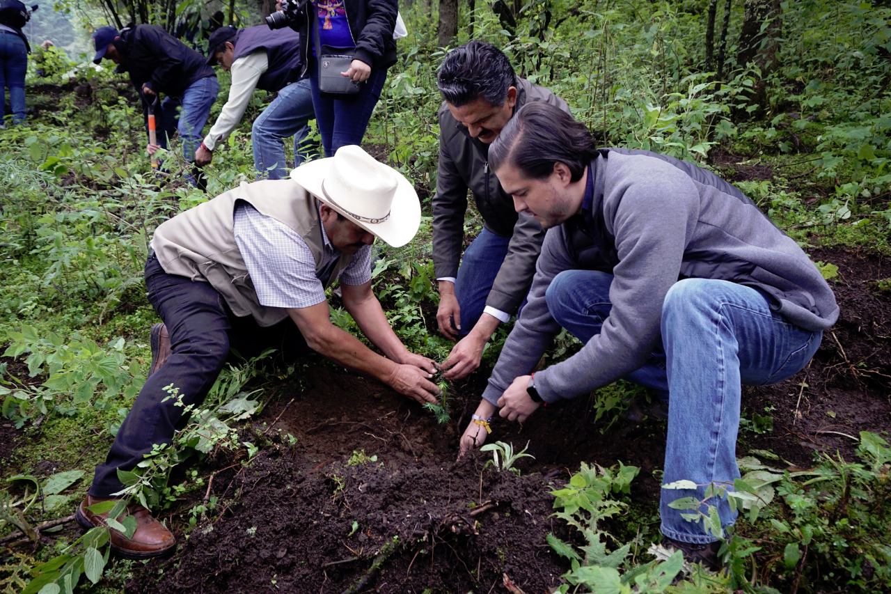 Telcel y WWF logran histórica reforestación 🌳 en El Rosario, Michoacán