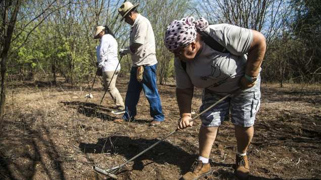 Al menos 37 cuerpos han sido exhumados de 25 fosas clandestinas en Puebla