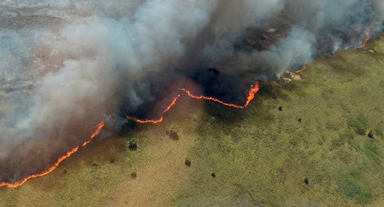 Incendio en reserva de Quintana Roo es controlado al 75%