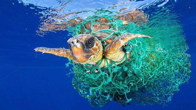 Cada año se arrojan al océano entre 5 y 13 millones de toneladas de plásticos
