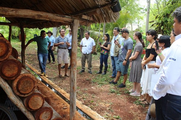 Yucatán y Nueva Zelanda comparten experiencias en torno a la miel