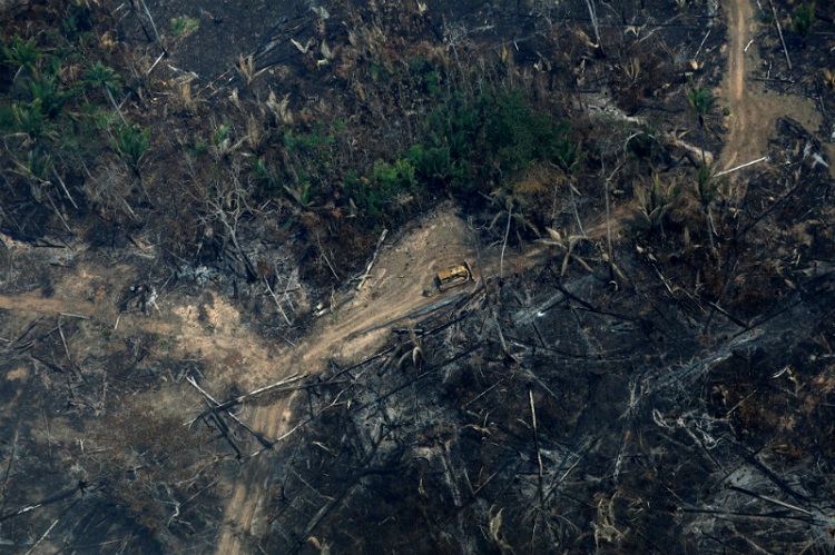 Suman seis estados que piden ayuda a militares brasileños para combatir incendios forestales del Amazonas