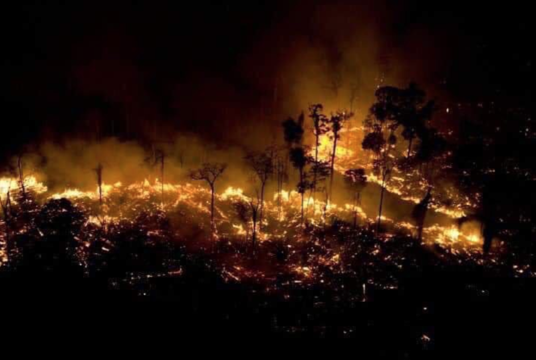 FOTOS: Impresionante incendio devasta el Amazonas