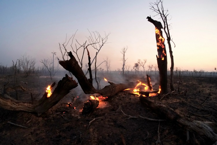 Avanza extinción de incendios forestales en Bolivia