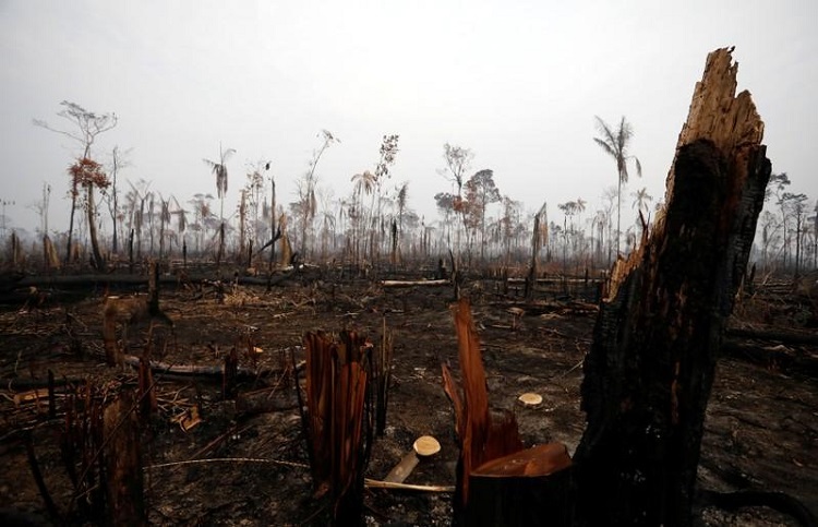 Brasil asegura que miles de soldados están disponibles para combatir incendios forestales