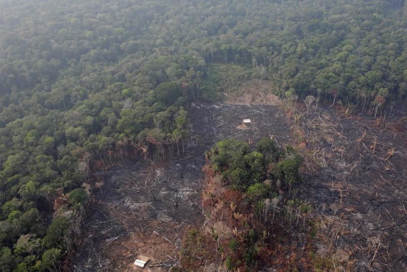 Gobierno de México ofrece asistencia contra incendios en el Amazonas