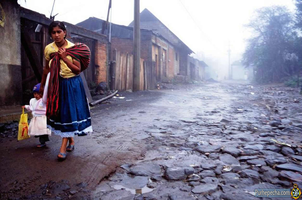 Pleno avala reforma para garantizar acceso a información de pueblos originarios en caso de emergencia