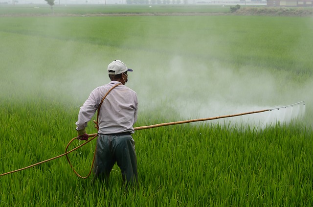 Prohibir plaguicidas disminuirá la producción agrícola y causará un aumento en el precio de los alimentos