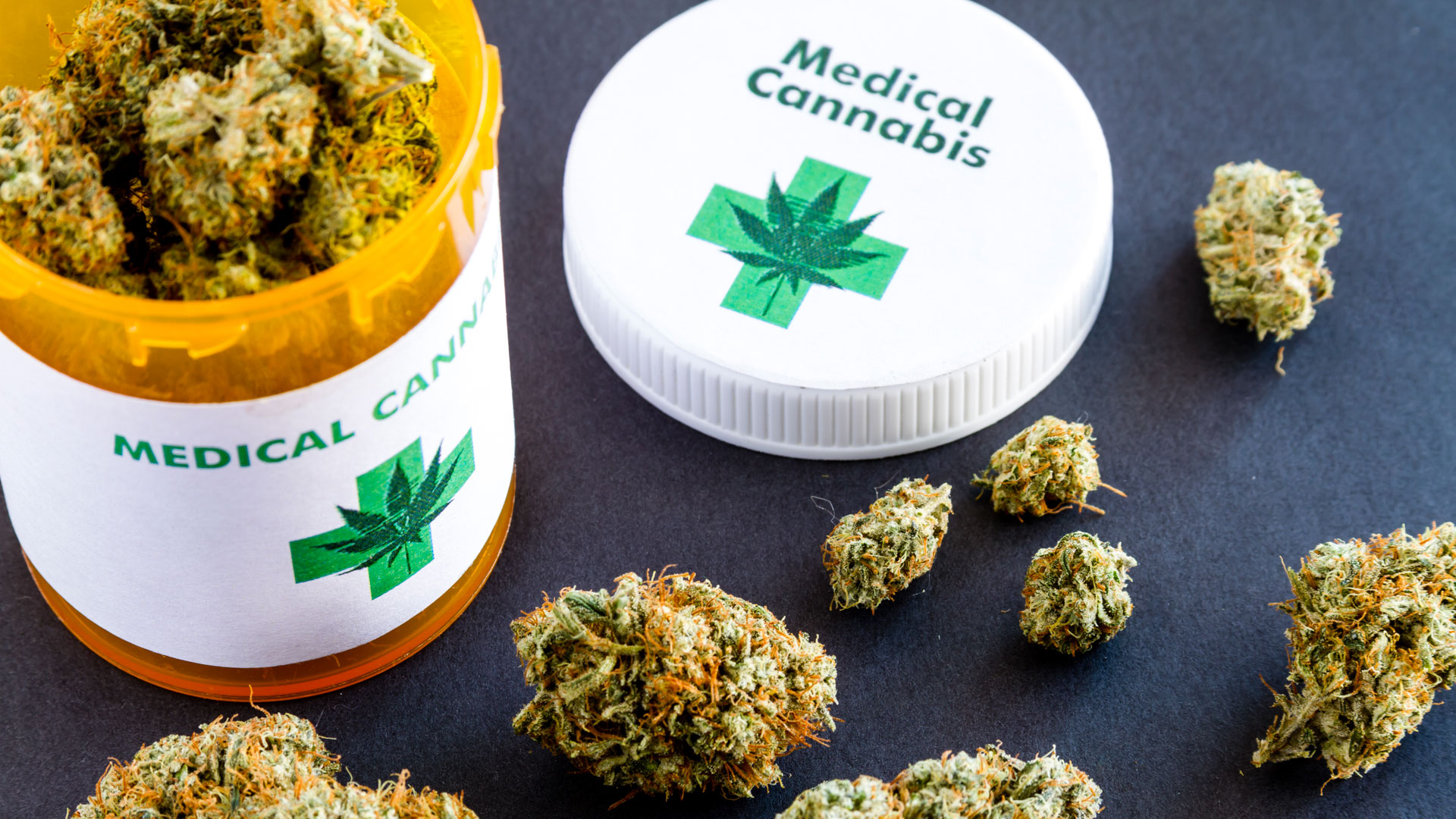 La importancia de la regulación del cannabis para la salud pública: Canncura