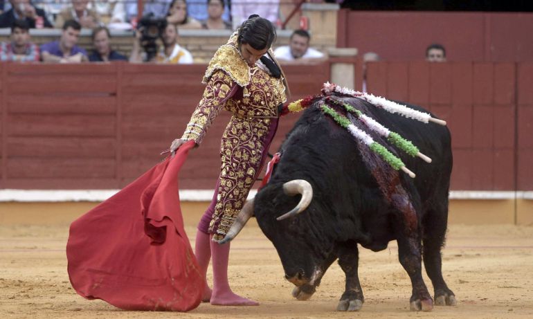 Consulta ciudadana para prohibir corridas de toros.