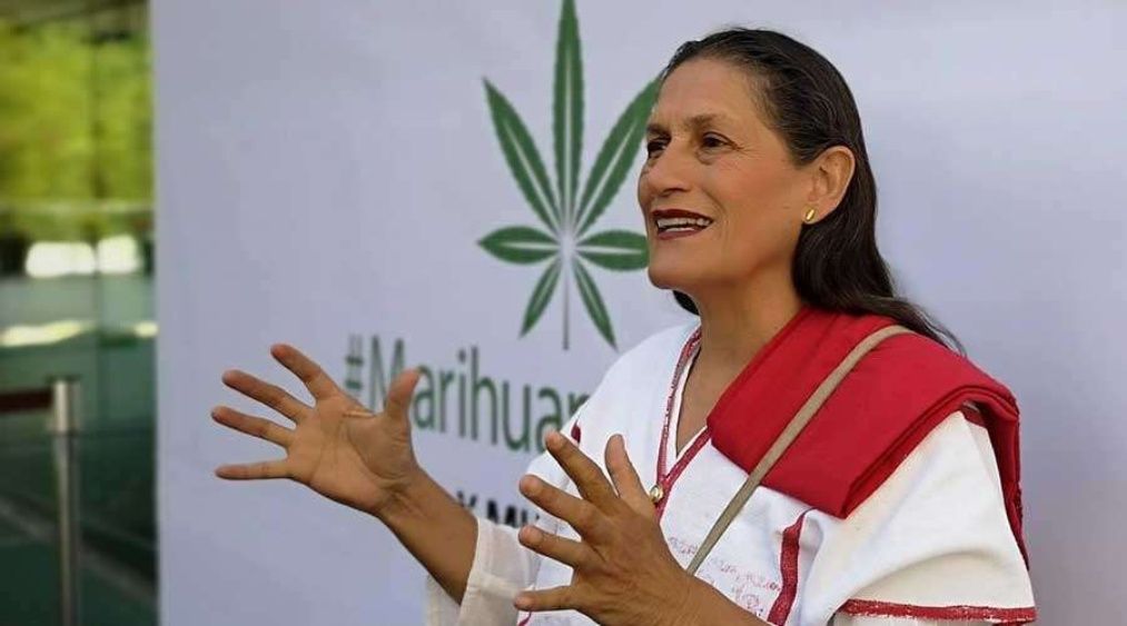 México tendrá la mejor legislación en regulación del cannabis