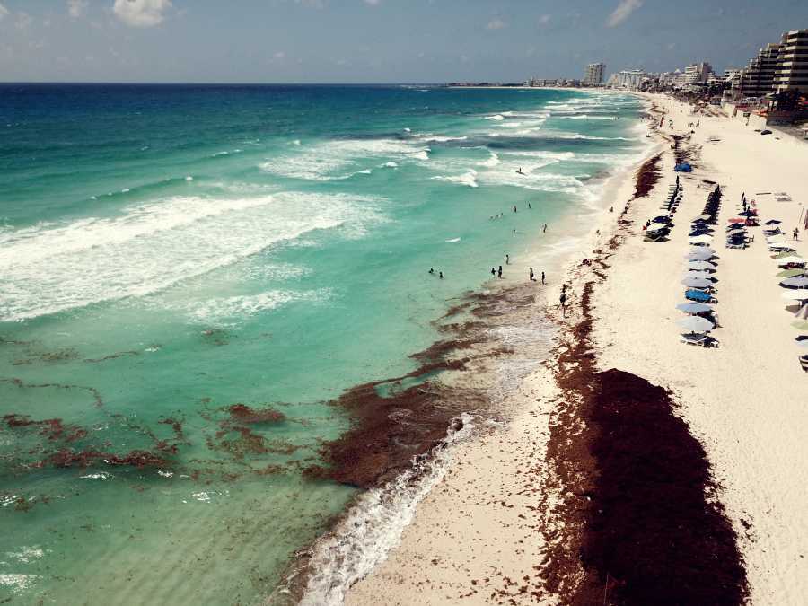 Disminución de sargazo en playas, alivio al turismo de Quintana Roo