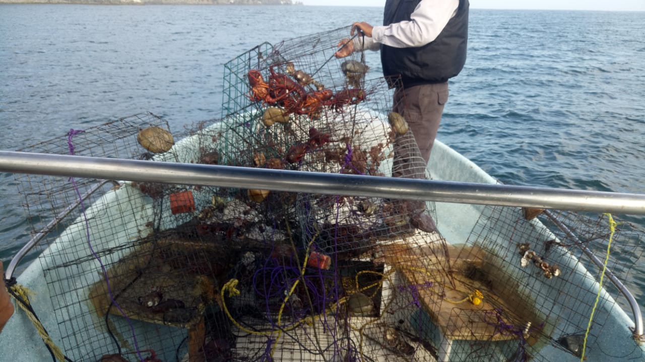 Logra Conapesca decomiso de pesca irregular por más de 107 mil kilogramos
