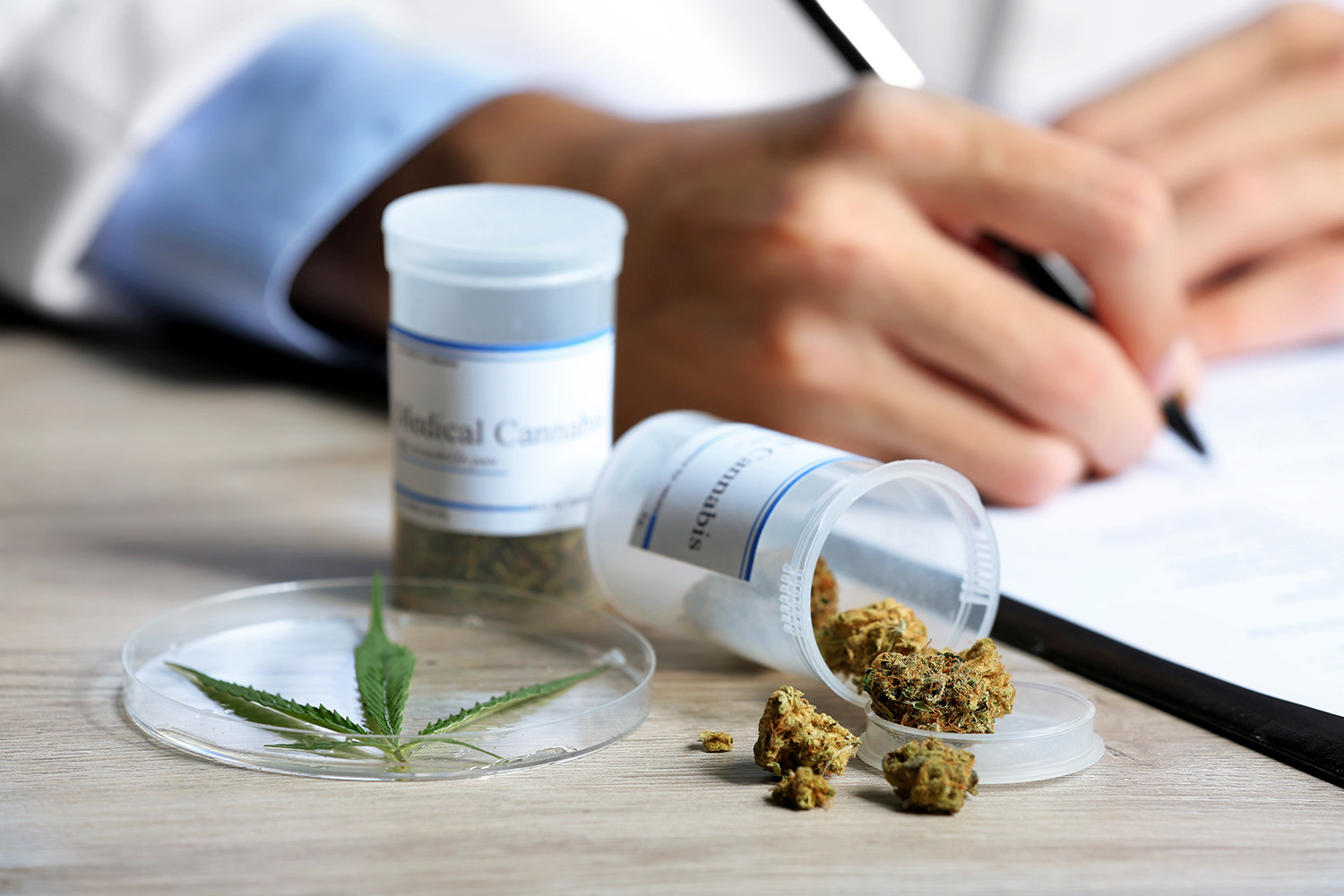 Regulación de cannabis no debe poner en riesgo la salud