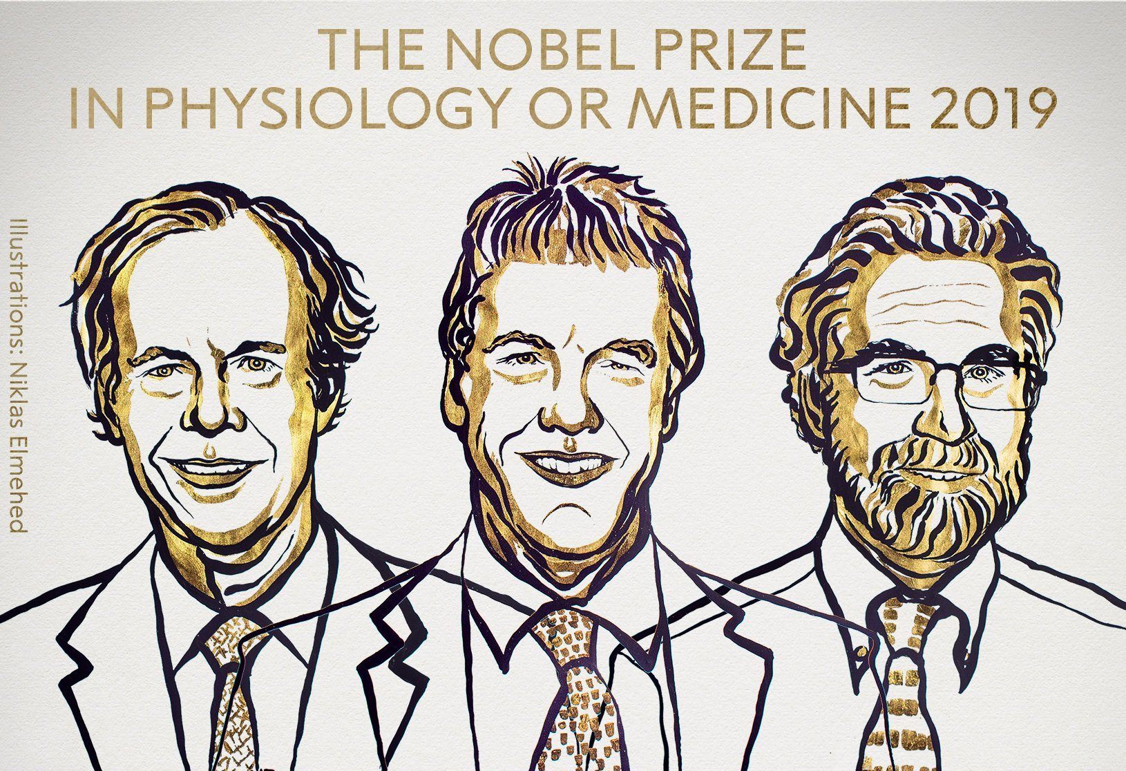 Científicos ganan Nobel de Medicina por estudios sobre adaptación de células al oxígeno