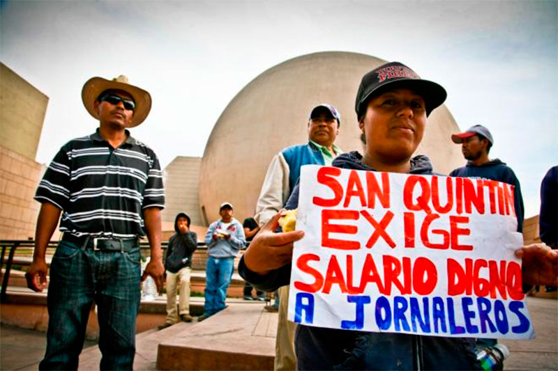 Exhortan a la STPS dar atención a demandas de jornarelos de San Quintín, Baja California